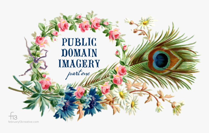 Vintage Peacock Feather Frame Graphicsfairy - Vintage Public Domain Png