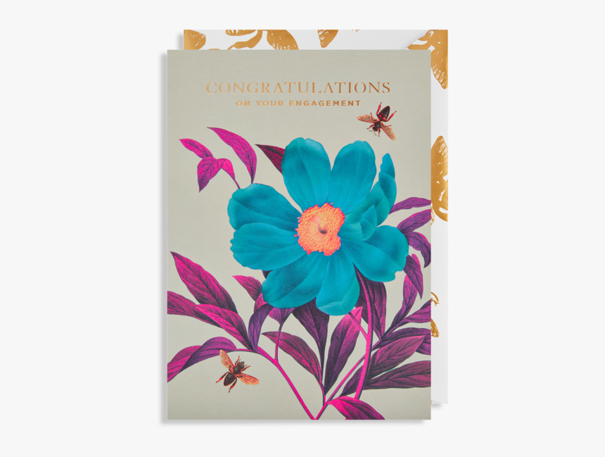 Peony, HD Png Download