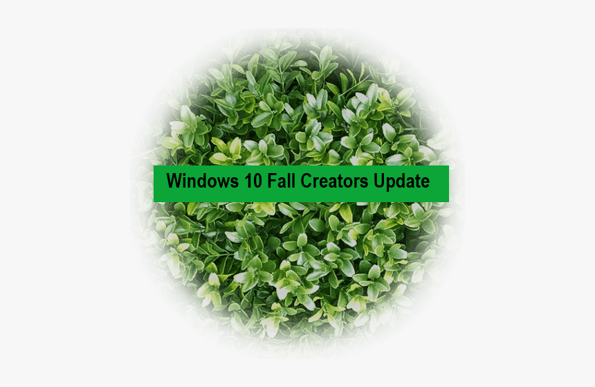 Artificial Turf, HD Png Download