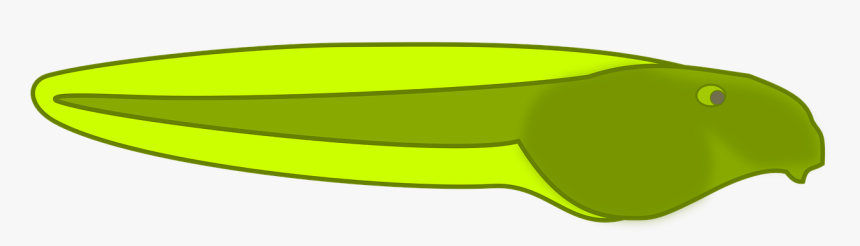 Boat, HD Png Download