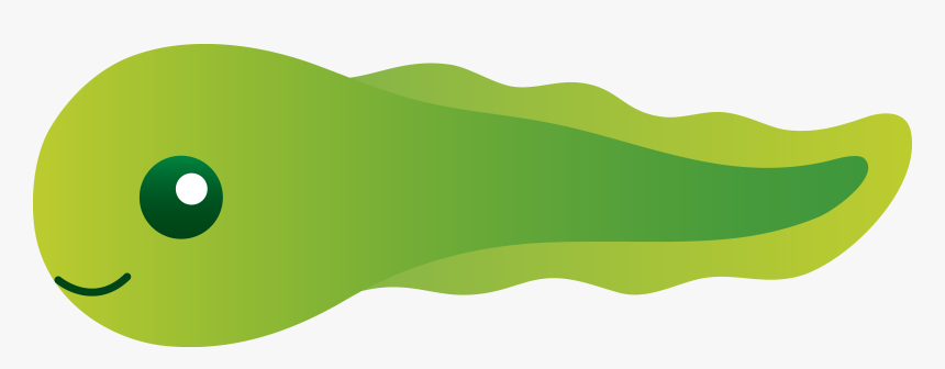 Eggs Clipart Tadpole - Tadpole Clipart, HD Png Download