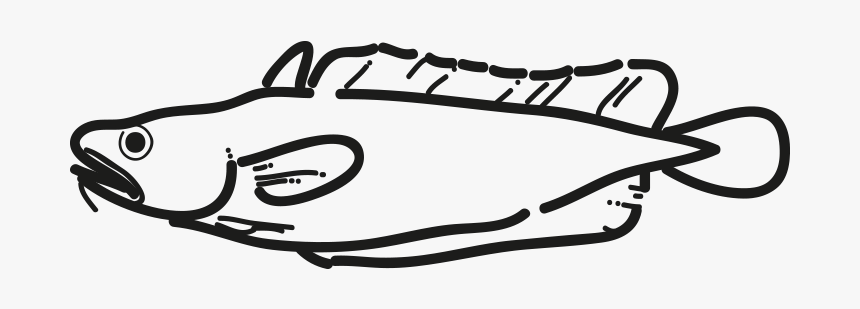 Tadpole Codling - Ray-finned Fish, HD Png Download