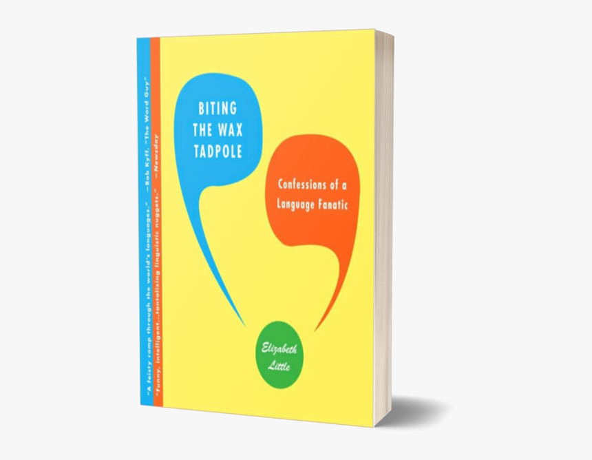 Tadpole, HD Png Download