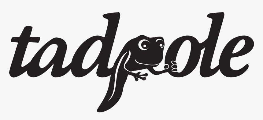 Frog, HD Png Download