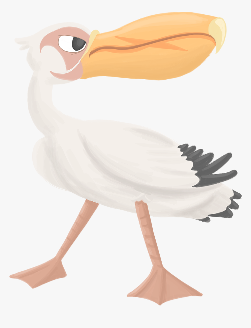 Pelican, HD Png Download