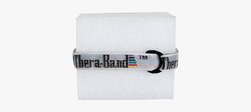 Tadpole Buoyant Foam Swim Training - Paper, HD Png Download