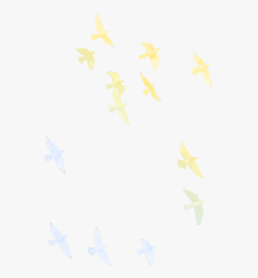 Butterfly, HD Png Download