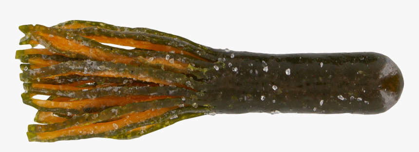 Oak Toad, HD Png Download