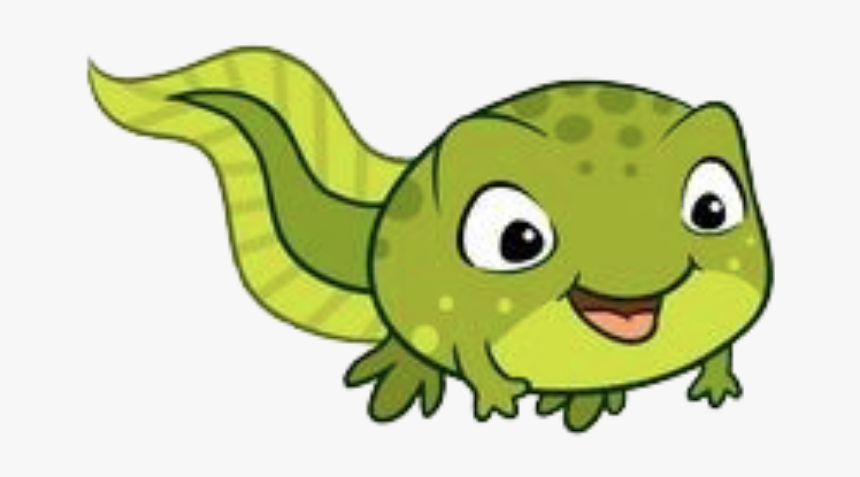 Cartoon Tadpole, HD Png Download