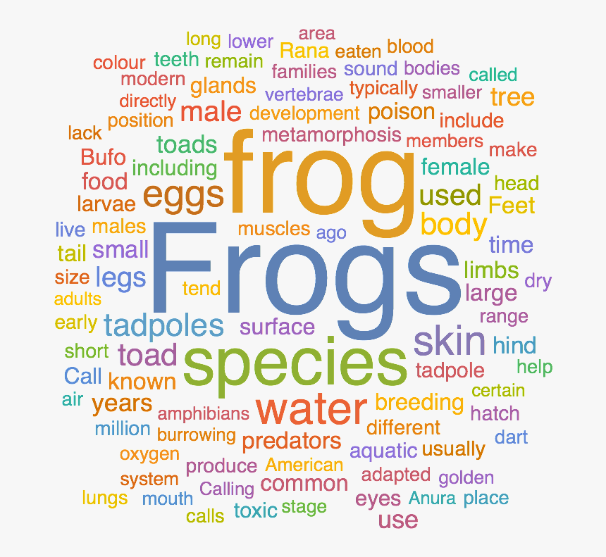 Graphic Design , Png Download - Graphic Design, Transparent Png