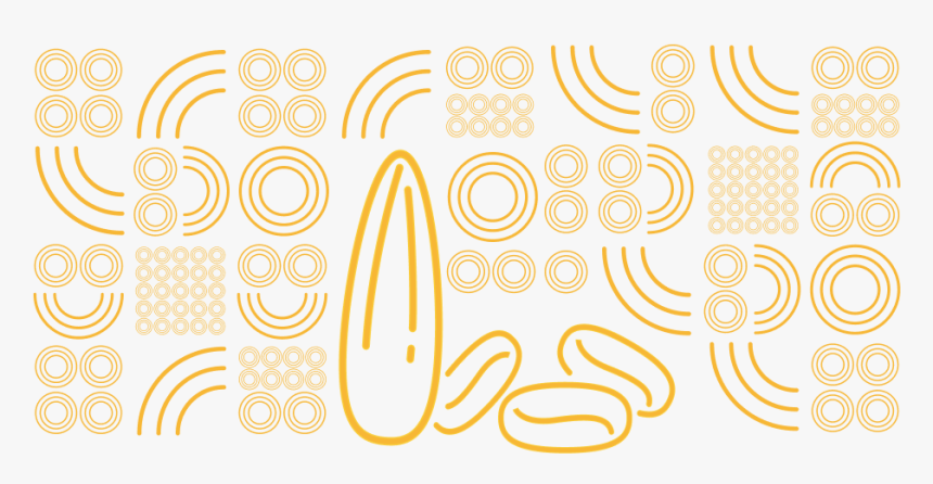 Circle, HD Png Download