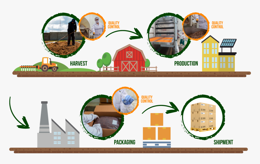 Circle, HD Png Download