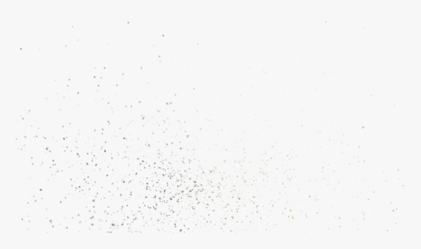 Bird, HD Png Download