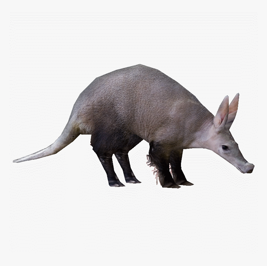 Transparent Aardvark Clipart - Zt2 Aardvark, HD Png Download