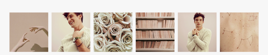 Garden Roses, HD Png Download