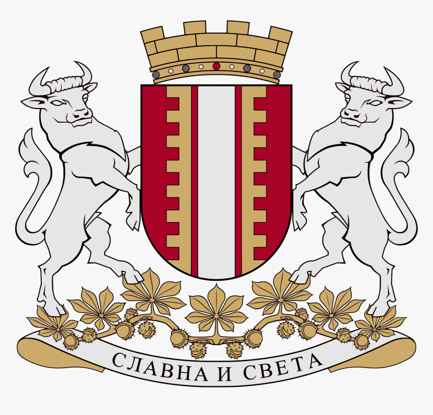 Coat Of Arms Of Banja Luka 2015 - Protonamesnik Zoran Pajkanovic Novi Grb Banjaluke, HD Png Download