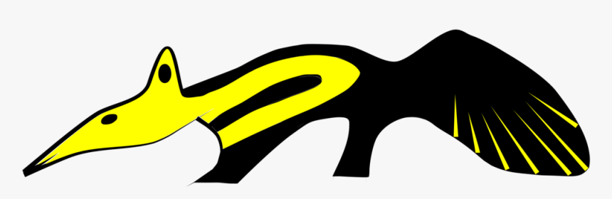 Carnivoran,line,yellow - Anteater, HD Png Download