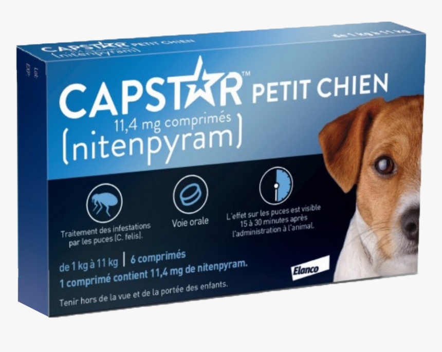 Taschen, HD Png Download