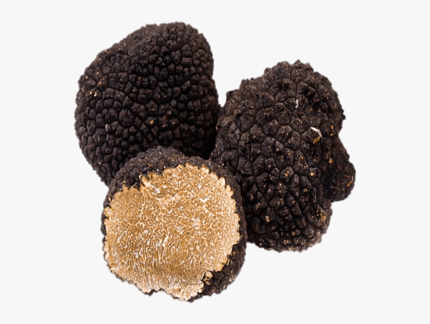 Black Truffles - Black Truffle, HD Png Download