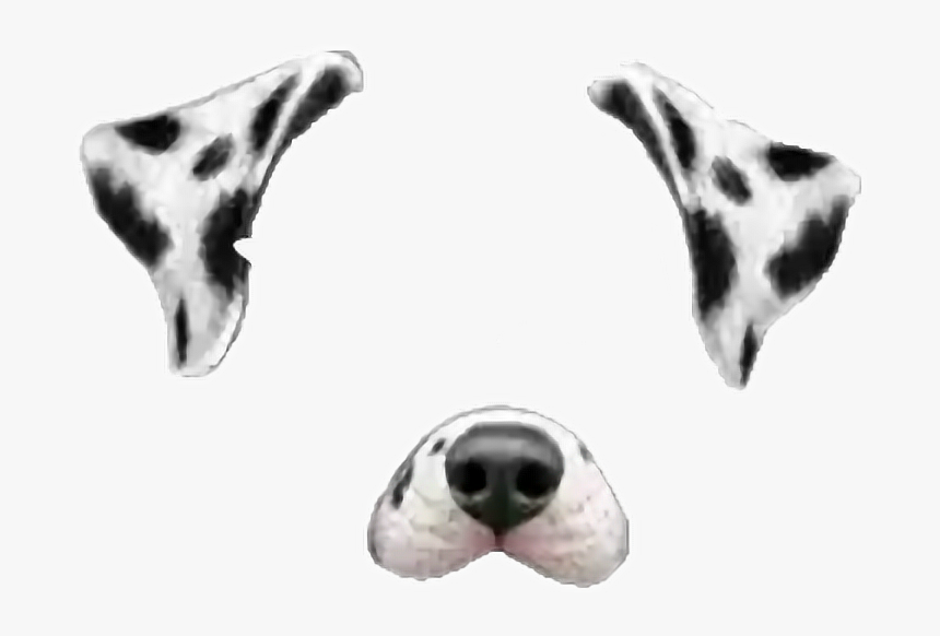 #snap #snapchat #dog #dalmata #tumblr #rose #cute #corazon - Snapchat Filters Dog, HD Png Download