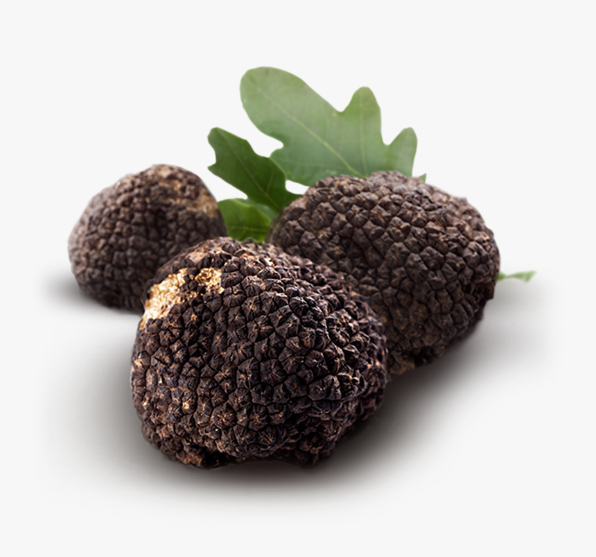 Real Truffle In Ground, HD Png Download