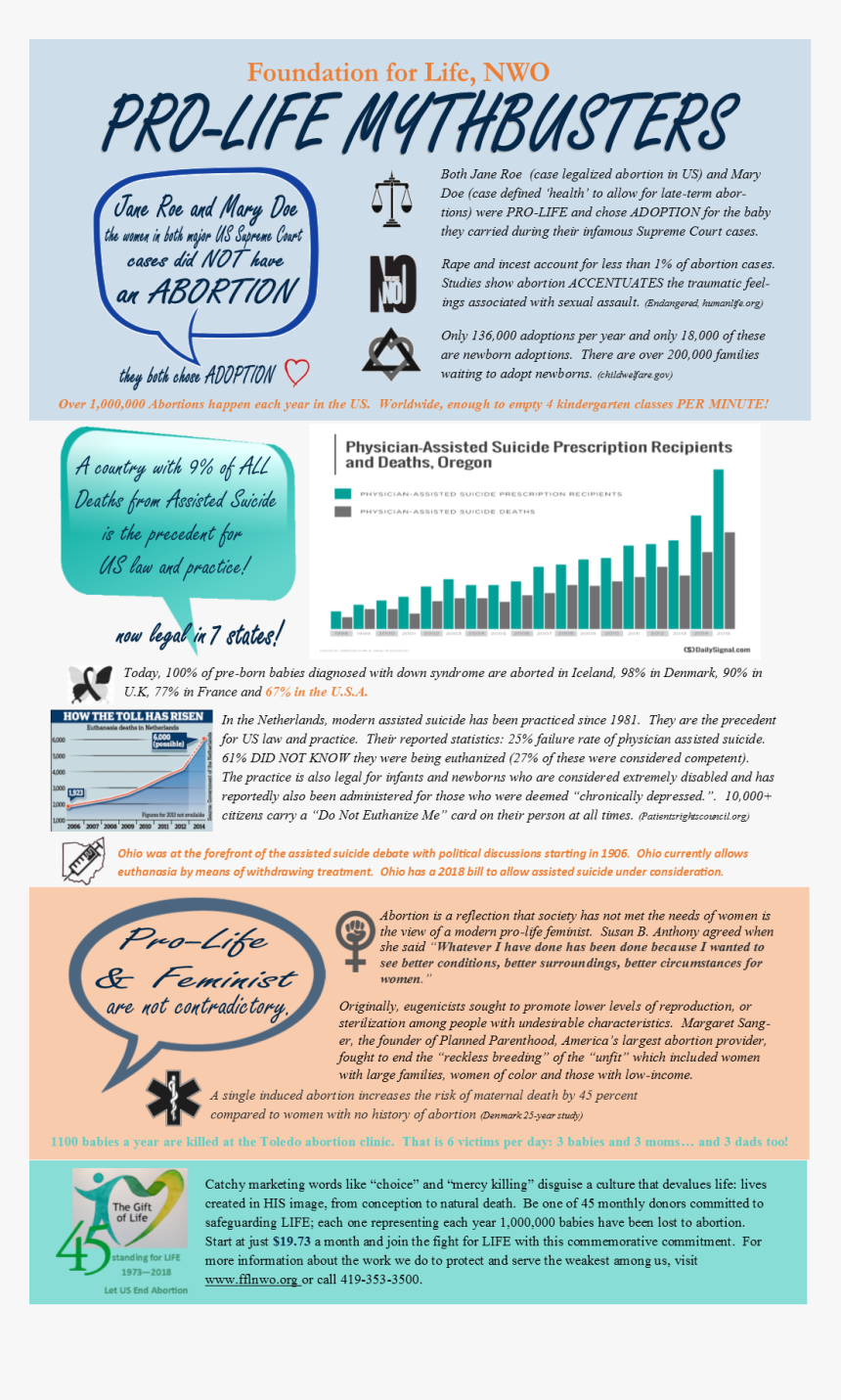 Picture - Brochure, HD Png Download