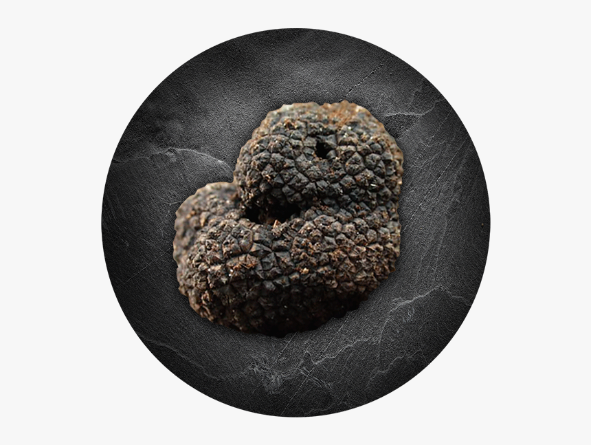 Tartufo Nero Ordinario, HD Png Download