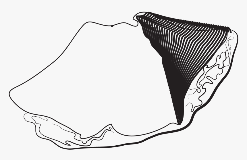 Sketch , Png Download, Transparent Png