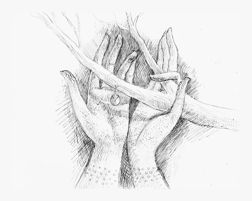 Sketch, HD Png Download