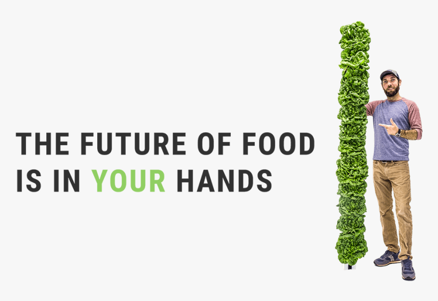 Banner, HD Png Download