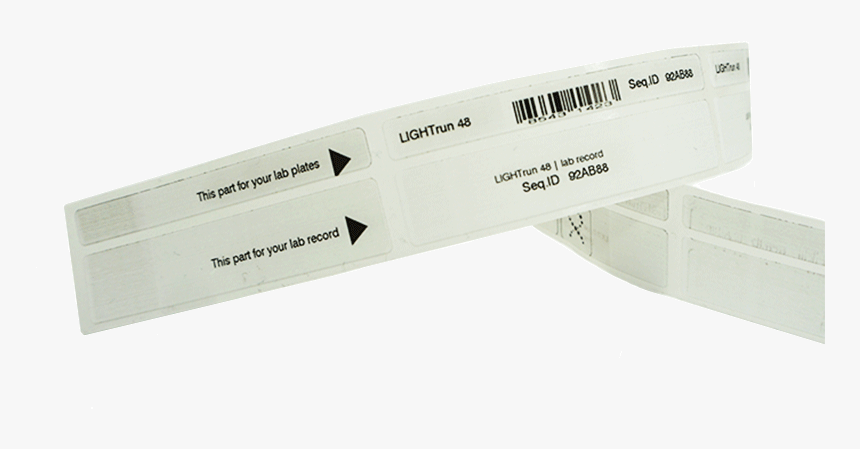 Night, HD Png Download