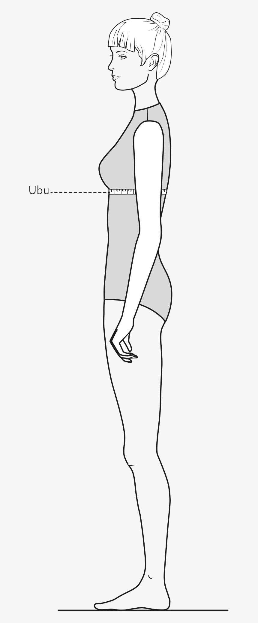 Diese Zeichnung Zeigt Das Messen Des Unterbrustumfangs - Standing, HD Png Download