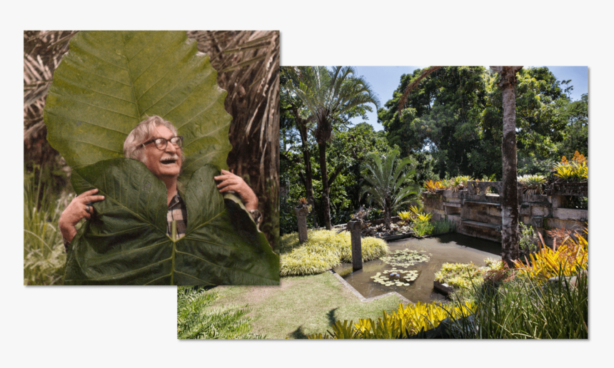 Roberto Burle Marx And One Of His Gardens - Roberto Burle Marx Botanical Garden, HD Png Download