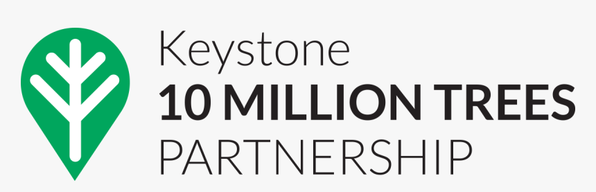 Oval, HD Png Download