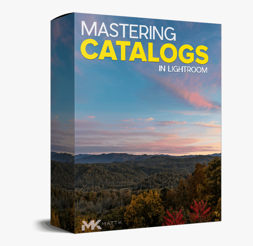 Tree, HD Png Download