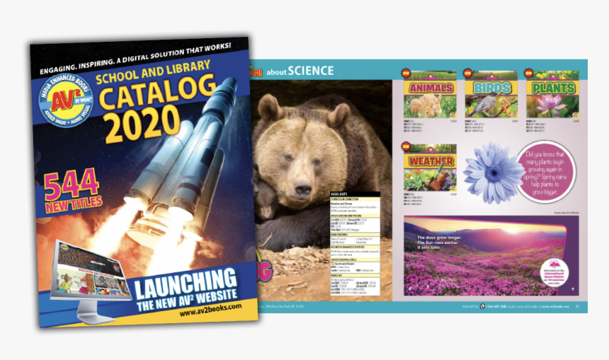 Flyer, HD Png Download