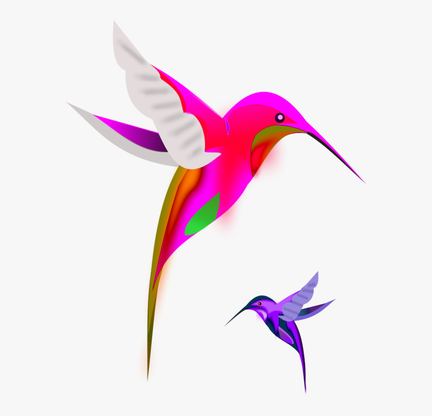 Bird Clip Art - Hummingbird Clipart, HD Png Download