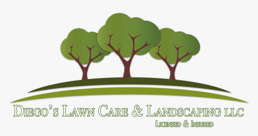 3 Tree Logo, HD Png Download