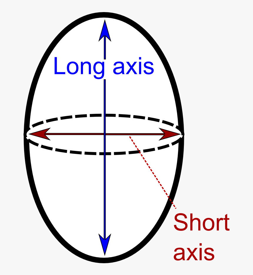 Long And Short Axis - Circle, HD Png Download