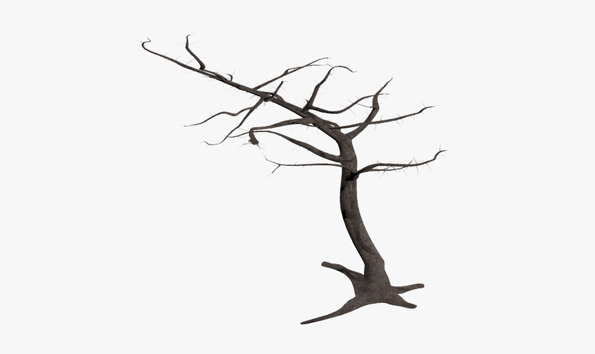 Tree, Isolated, Dead Plant, Weathered, Old, Morsch, - Tree Transparent Background With Branches, HD Png Download