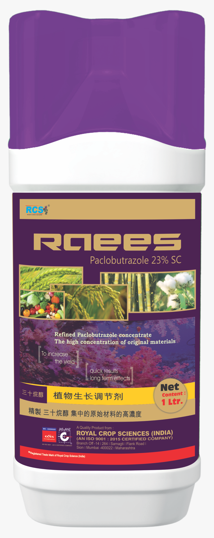 Grass, HD Png Download