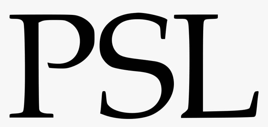 Psl Final 2019 Essay, HD Png Download