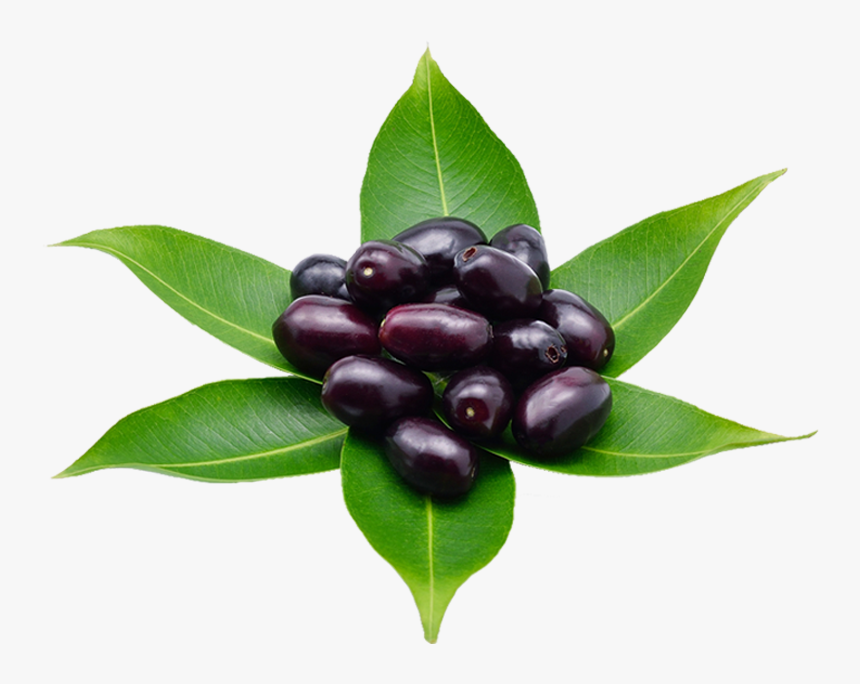 Huckleberry, HD Png Download