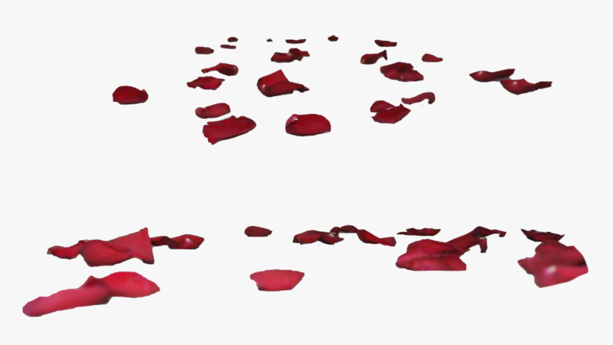 Rose Petals Transparent Images - Transparent Background Rose Petals Png, Png Download