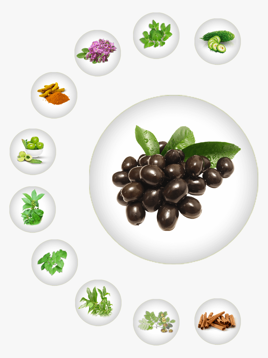 Ayurvedic Herb For Diabetes, Natural Herb For Diabetes, - Olive, HD Png Download