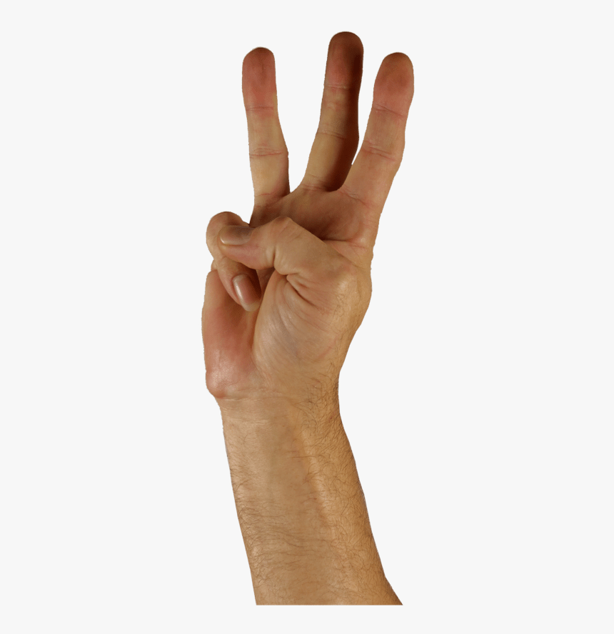 3 Elements Of Success, HD Png Download