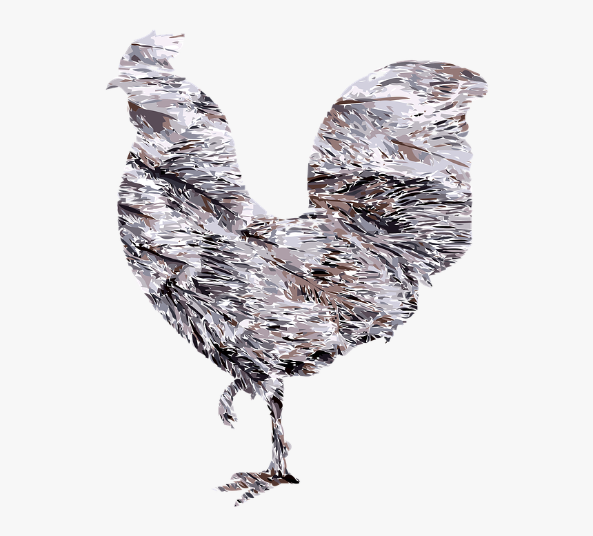 Rooster Chicken Bird - Rooster, HD Png Download