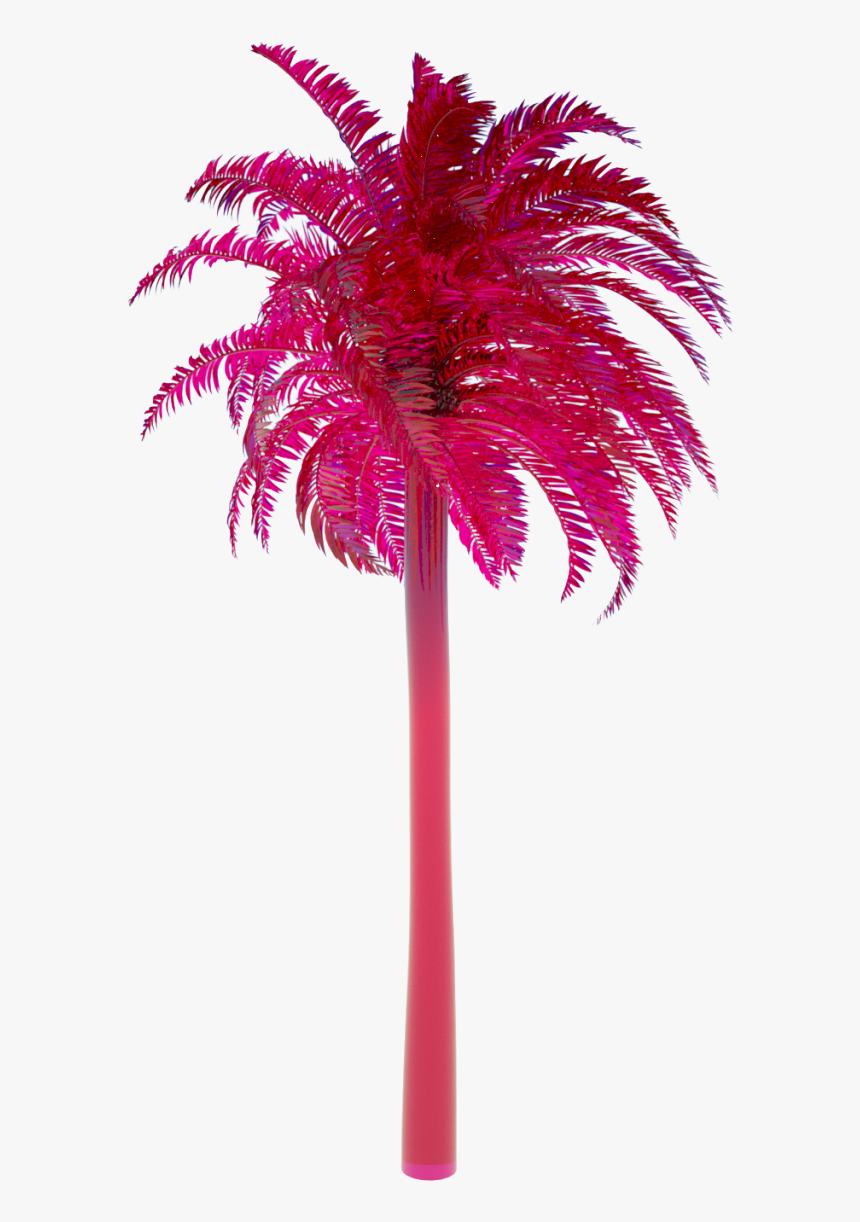 Attalea Speciosa, HD Png Download