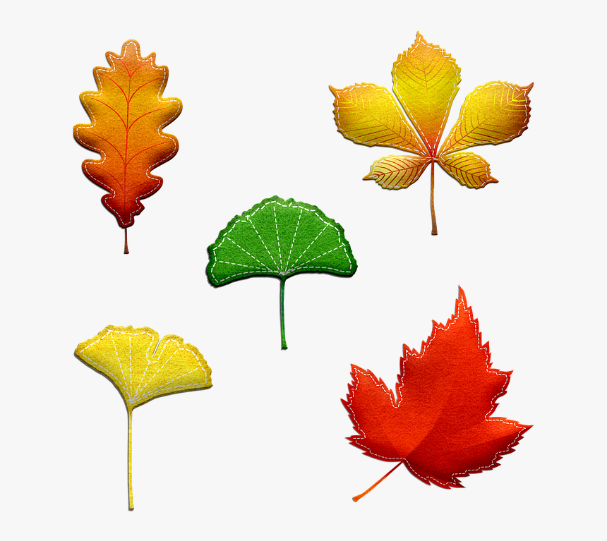 Autumn Leaves, Felted And Stitched, Leaves, Fall - Tree Leaf, HD Png Download