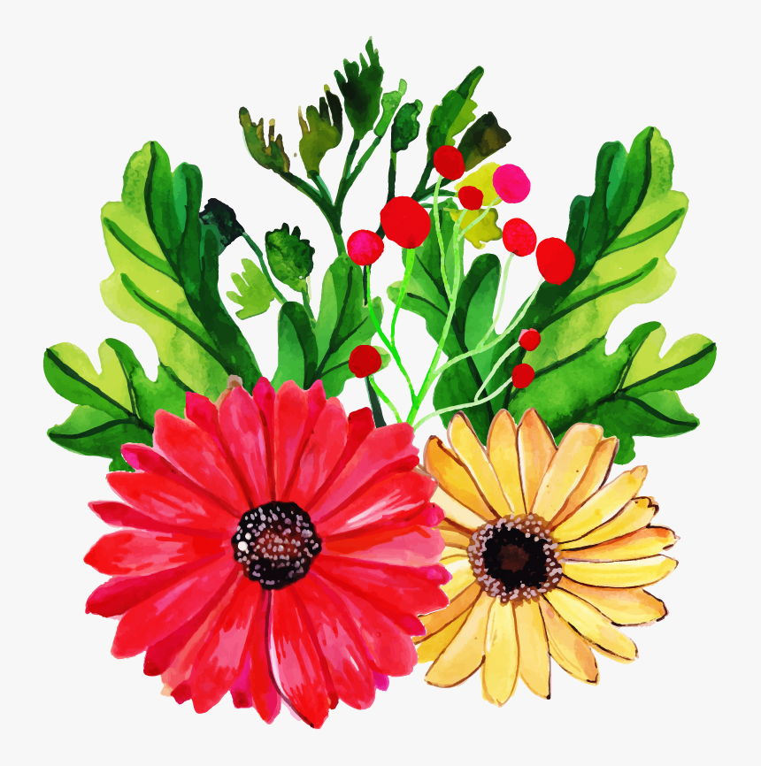 Barberton Daisy, HD Png Download